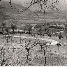 panorama contado