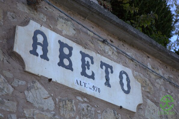 Abeto EXT_0001