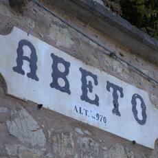 Abeto EXT_0001