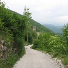 IMG_6408