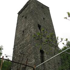 IMG_6419