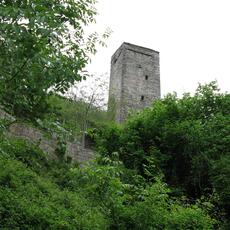 IMG_6421
