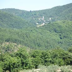 IMG_7246