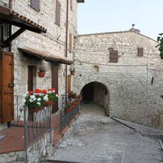 IMG_6619