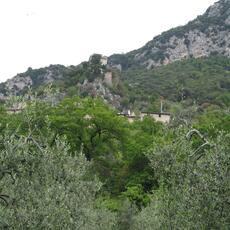 IMG_1300