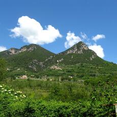 IMG_1875