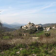IMG_0861
