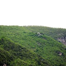 IMG_1360