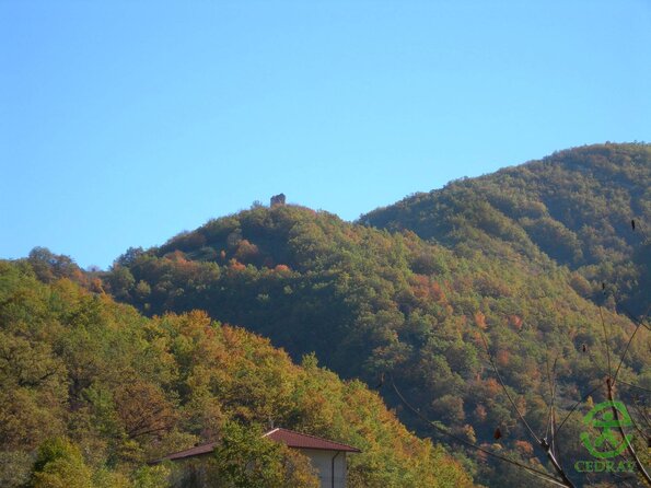 DSCN2267
