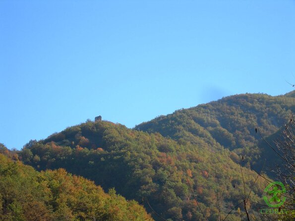 DSCN2268