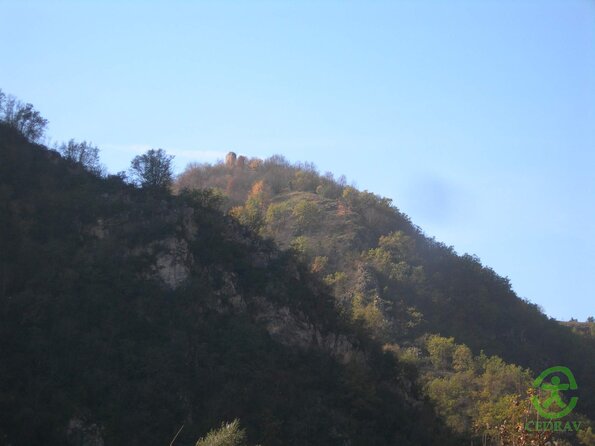 DSCN2409