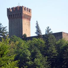 IMG_9318