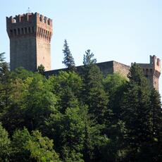 IMG_9320