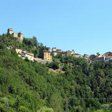IMG_9325