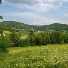 IMG_2056