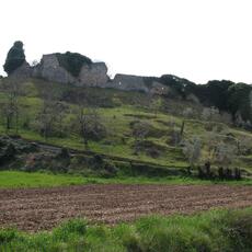 IMG_0800