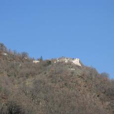 IMG_0029