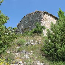 IMG_7161
