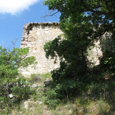 IMG_7166
