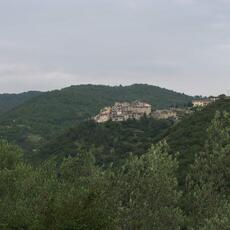 IMG_2586