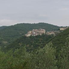IMG_2590