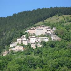 IMG_1674