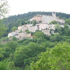 IMG_1775