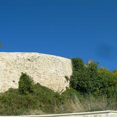 DSCN2195