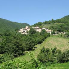IMG_7080