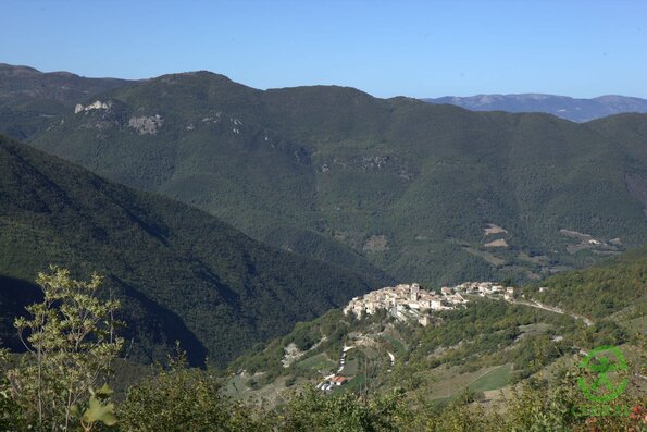 Caso panorama0017