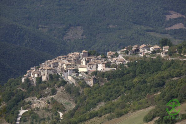 Caso panorama_0001