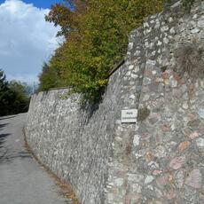 DSCN2507