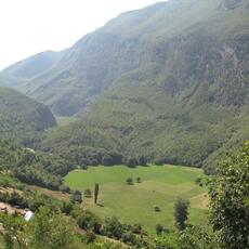 IMG_3768
