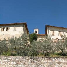 IMG_7040