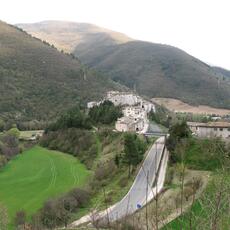 IMG_0492