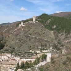 IMG_0194