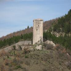 IMG_0196