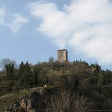 IMG_0553