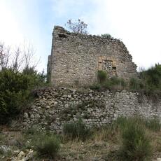 IMG_0519