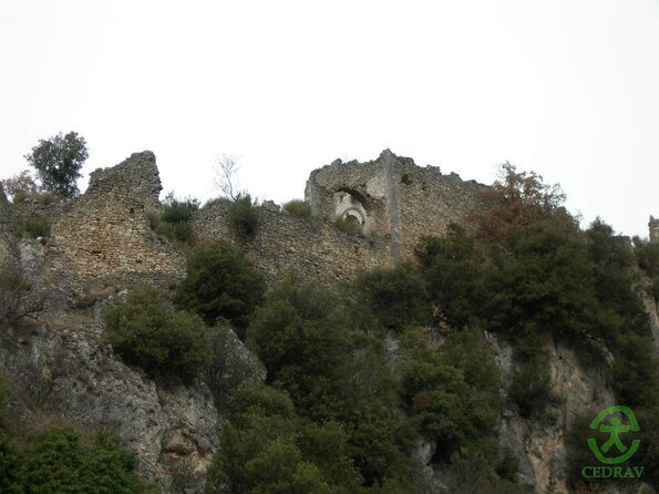 DSCN2707