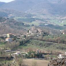 IMG_0433