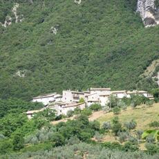 IMG_2749