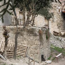 IMG_5107