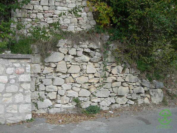 DSCN1995