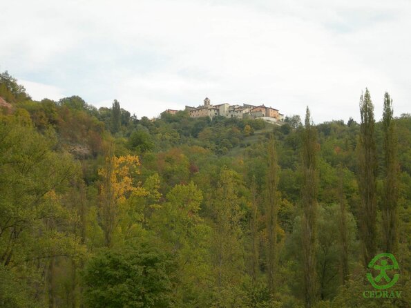 DSCN2001