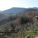 CASTIGLIONI E PEROCLE DI ARRONE
