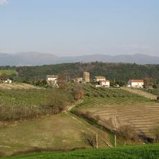 IMG_0056