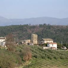 IMG_0058