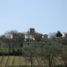 IMG_0620