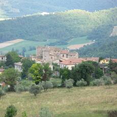 IMG_2509